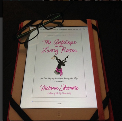 Screen Shot 2014-03-25 at 4.48.24 PM