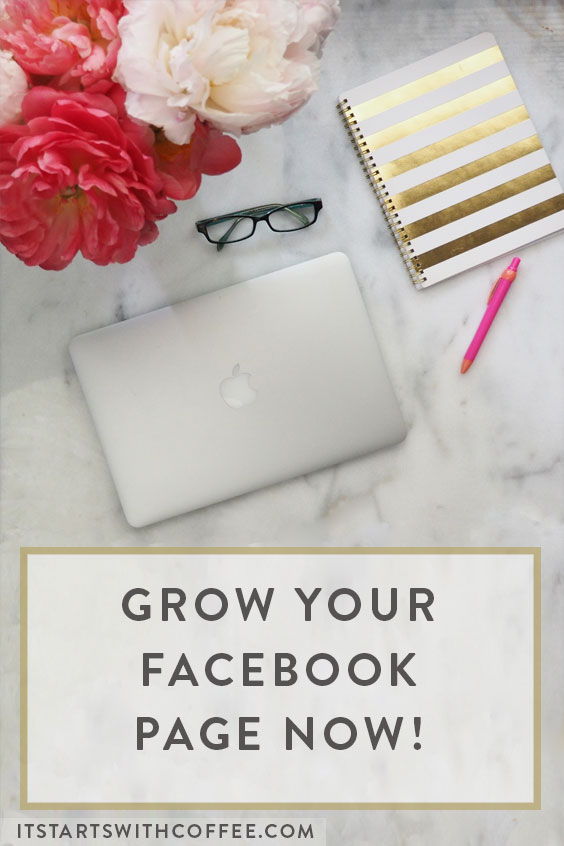Grow-Your-Facebook-Page-Now-b