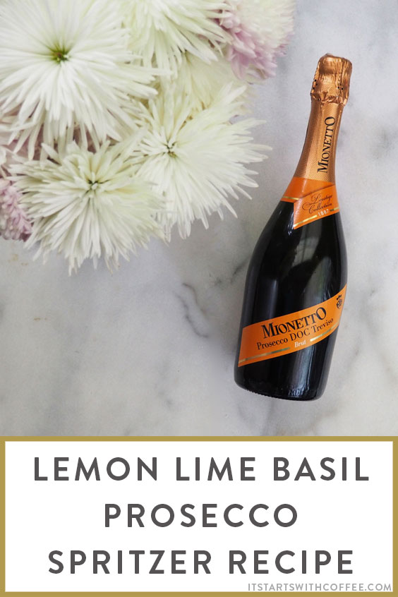 Lemon-Lime-Basil-Prosecco-Spritzer-Recipe-o