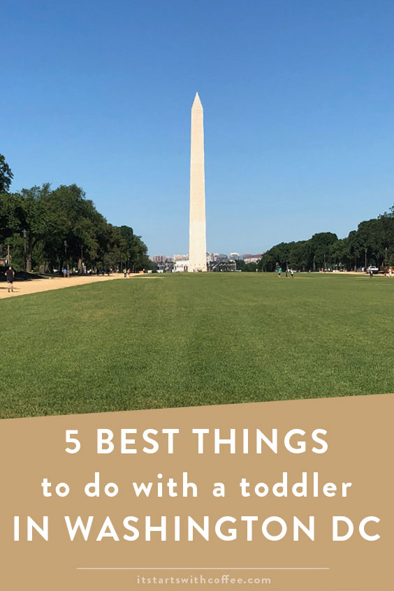 best things to do with a toddler in washington dc