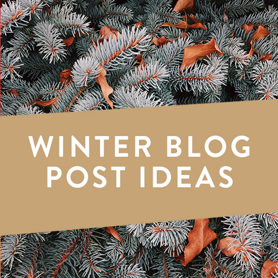winter-blog-post-ideas-it-starts-with-coffee-blog-by-neely-moldovan