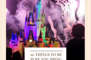 10 Things To Be Sure To Bring To Disney World