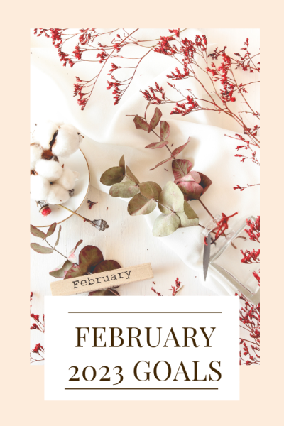 february 2023 goals February 2023 goals