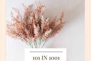 101 In 1001 Round 4