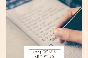 2023 Goals Mid Year Check In (1)