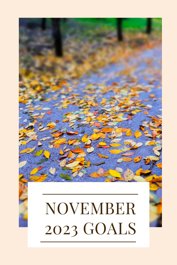 November 2023 Goals - It Starts With Coffee - Blog by Neely Moldovan ...