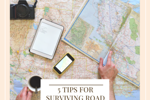 5 Tips For Surviving Road Trips With Kids (1) (1)