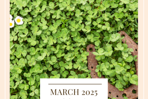 March 2025 Goals
