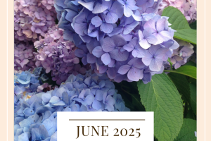 June 2025 Goals (1)