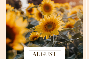 August 2025 Goals (1)